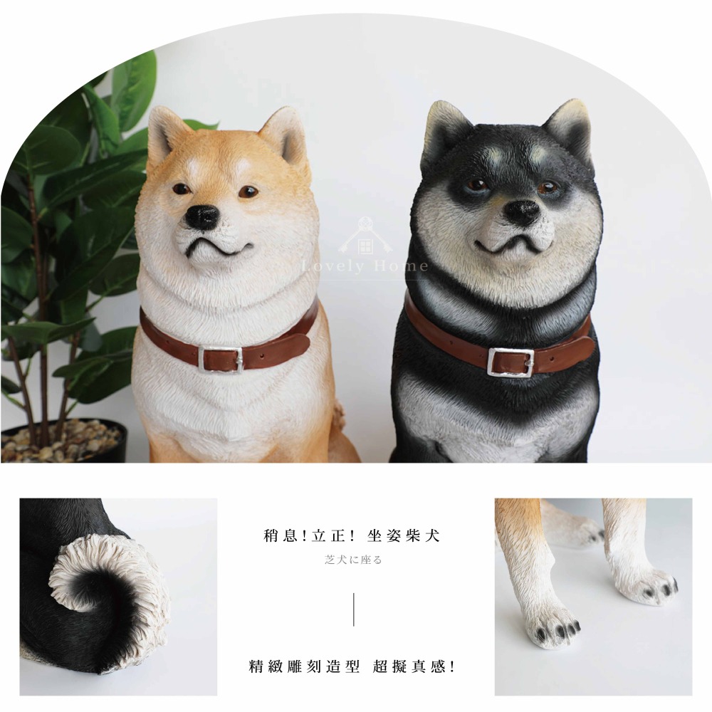 坐姿 黑柴棕柴 柴犬 狗 動物 波麗 戶外 擺飾 擬真（台中 可愛小舖）-細節圖3