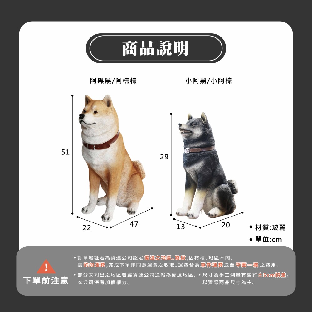 坐姿 黑柴棕柴 柴犬 狗 動物 波麗 戶外 擺飾 擬真（台中 可愛小舖）-細節圖9