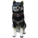 坐姿 黑柴棕柴 柴犬 狗 動物 波麗 戶外 擺飾 擬真（台中 可愛小舖）-規格圖9