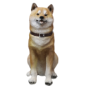 坐姿 黑柴棕柴 柴犬 狗 動物 波麗 戶外 擺飾 擬真（台中 可愛小舖）-規格圖9
