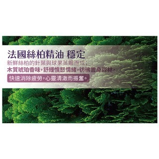 樹飛雪 絲柏寧神護色精油洗髮精400ml 洗髮精 護色洗髮 護色洗髮精 洗髮 洗髮乳 護色 護色洗 丟丟妹-細節圖7