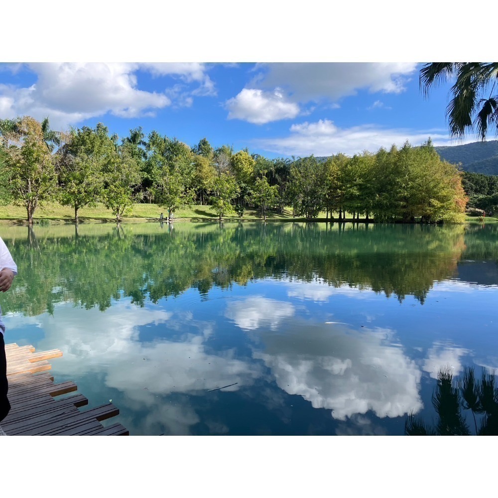 核桃 紙皮核桃 新疆阿克蘇核桃 核桃禮盒 歡迎大家來試試看新疆的烤核桃有何不同-細節圖4