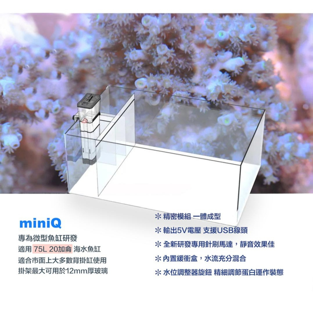 Bubble-magus BM MiniQ 迷你Q 內置掛缸式蛋白機 內置蛋白處理器 蛋白除沫器 側邊過濾-細節圖6