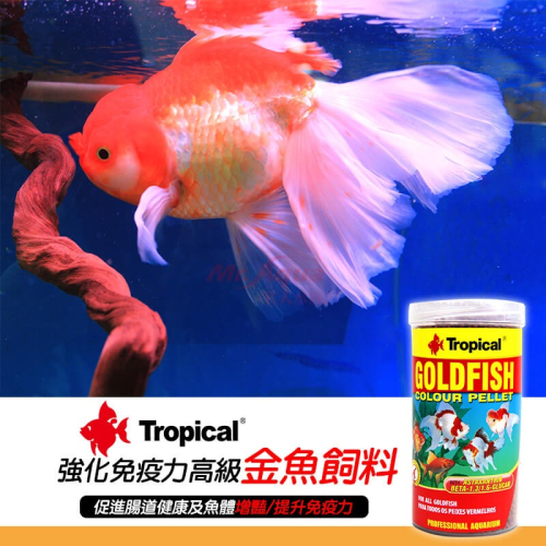 波蘭Tropical 德比克 - 強化免疫力高級金魚飼料 250ml 1000ml 魚飼料 浮上性
