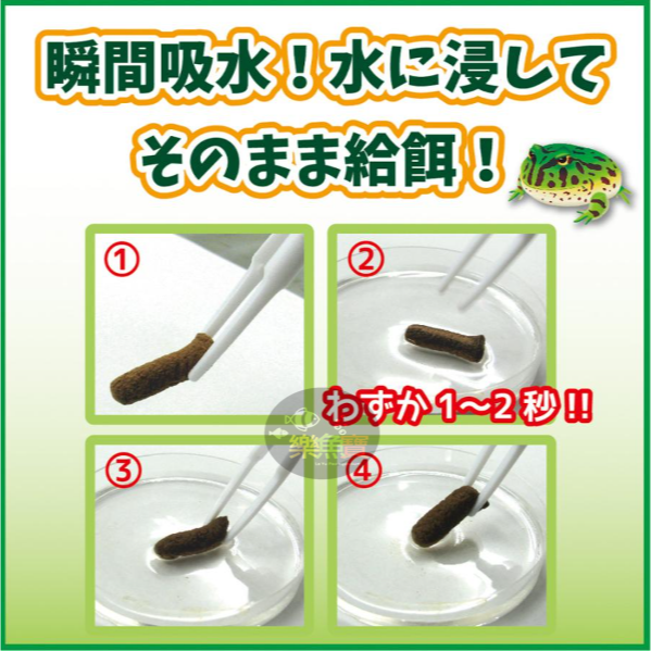 日本 Hikari 高夠力 角蛙飼料 40g 降低臭味 適口性佳 南美 綠角蛙 黃金角蛙 鐘角蛙-細節圖2