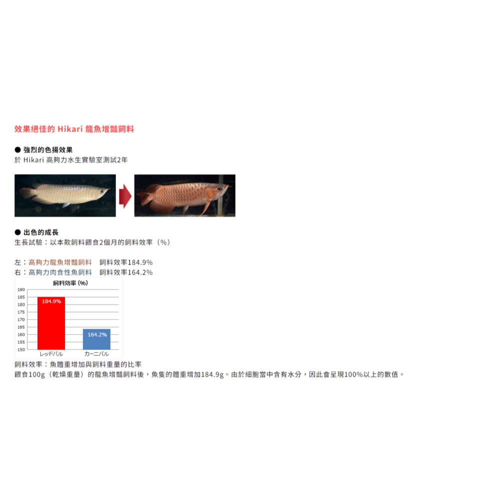 日本 Hikari 高夠力  龍魚增豔飼料 200g 450g 浮上性 條狀飼料 大型肉食魚飼料 增艷飼料-細節圖6