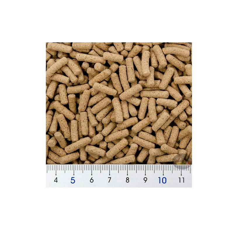 日本 Hikari 高夠力 爬蟲專用顆粒飼料 食蟲性 60g 守宮飼料 豹紋守宮 日本草蜥 箱龜 鬆獅蜥睫角-細節圖4