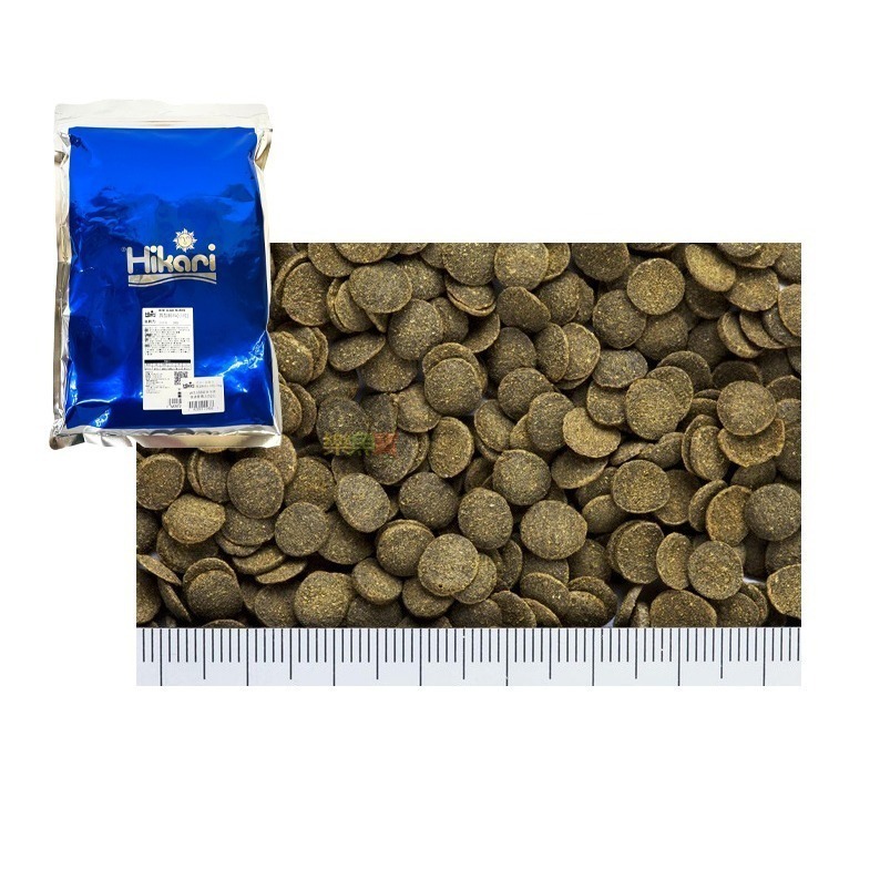 日本 Hikari 高夠力 異型飼料 1KG 底棲飼料 異形飼料 沉水性 底棲魚-細節圖3
