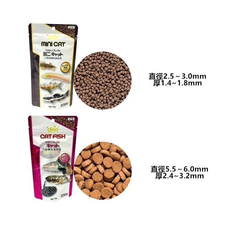 日本 Hikari 高夠力 肉食性底棲魚飼料 小型底棲肉食 鴨嘴 鯰科 恐龍 沉底飼料-細節圖2