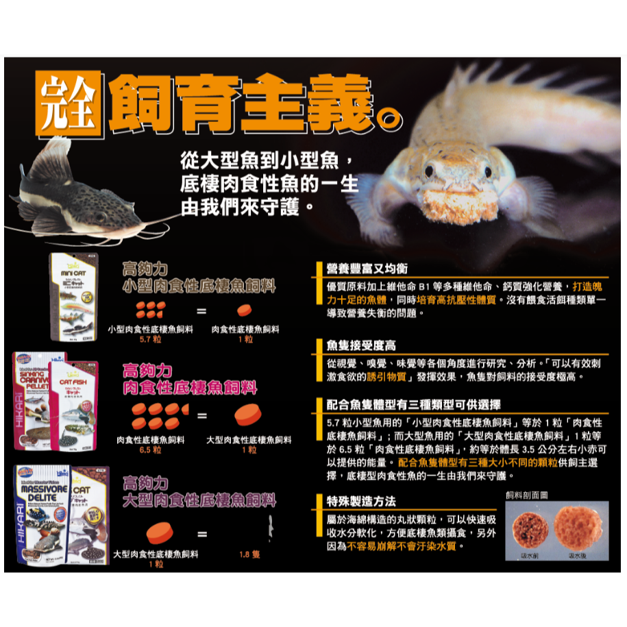 日本 Hikari 高夠力 肉食性底棲魚飼料 小型底棲肉食 鴨嘴 鯰科 恐龍 沉底飼料-細節圖3
