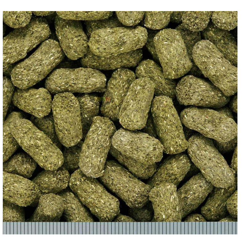 20643 日本 Hikari 高夠力 草食性爬蟲飼料 大粒 550g 陸龜健康蔬菜 草本 高纖 鬣蜥 刺尾蜥-細節圖2