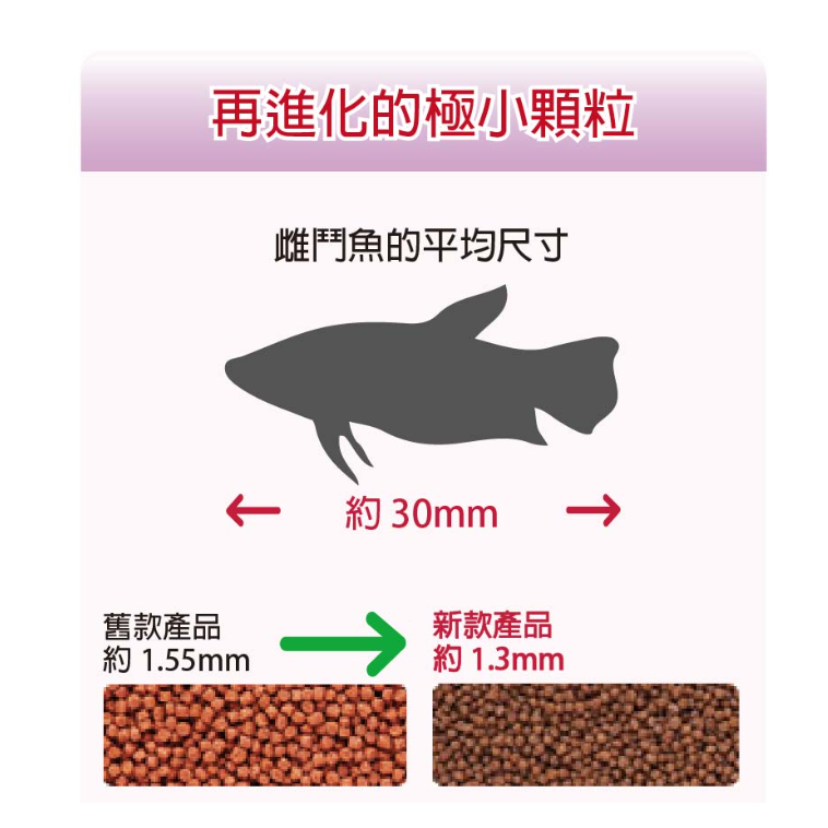 日本 Hikari 高夠力 CREST FREAK 鬥魚飼料 善玉菌 半月 Hikari 顆粒狀 浮上性-細節圖5