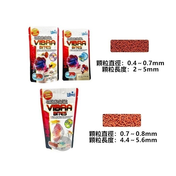 日本 Hikari 高夠力 熱帶魚蟲型飼料 Baby 緩沉性 增豔揚色 鬥魚 紅蟲 赤蟲 神仙 七彩 魚飼料-細節圖2