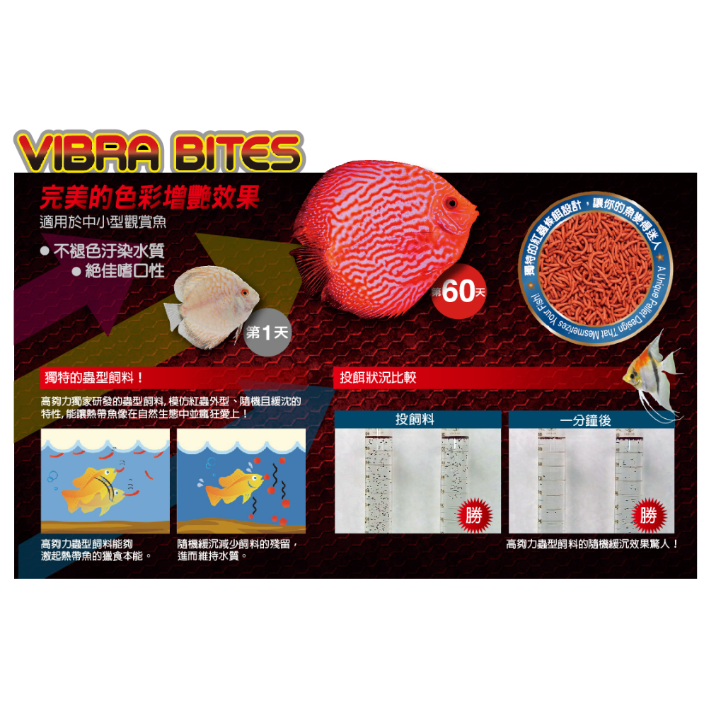 日本 Hikari 高夠力 熱帶魚蟲型飼料 Baby 緩沉性 增豔揚色 鬥魚 紅蟲 赤蟲 神仙 七彩 魚飼料-細節圖4