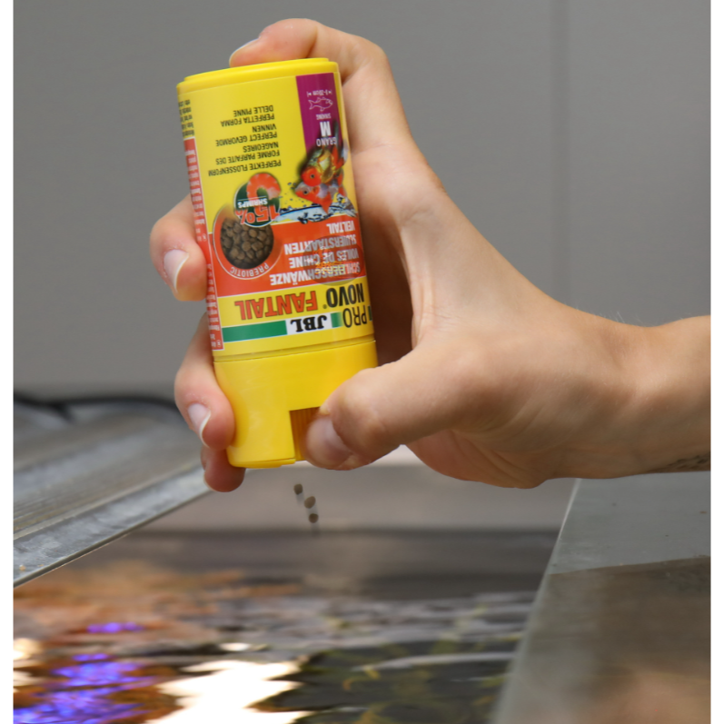 JBL 珍寶 PRO NOVO FANTAIL 金牌玫瑰紅碎粒主食 S M (緩沉性) 金魚飼料 顆粒-細節圖4