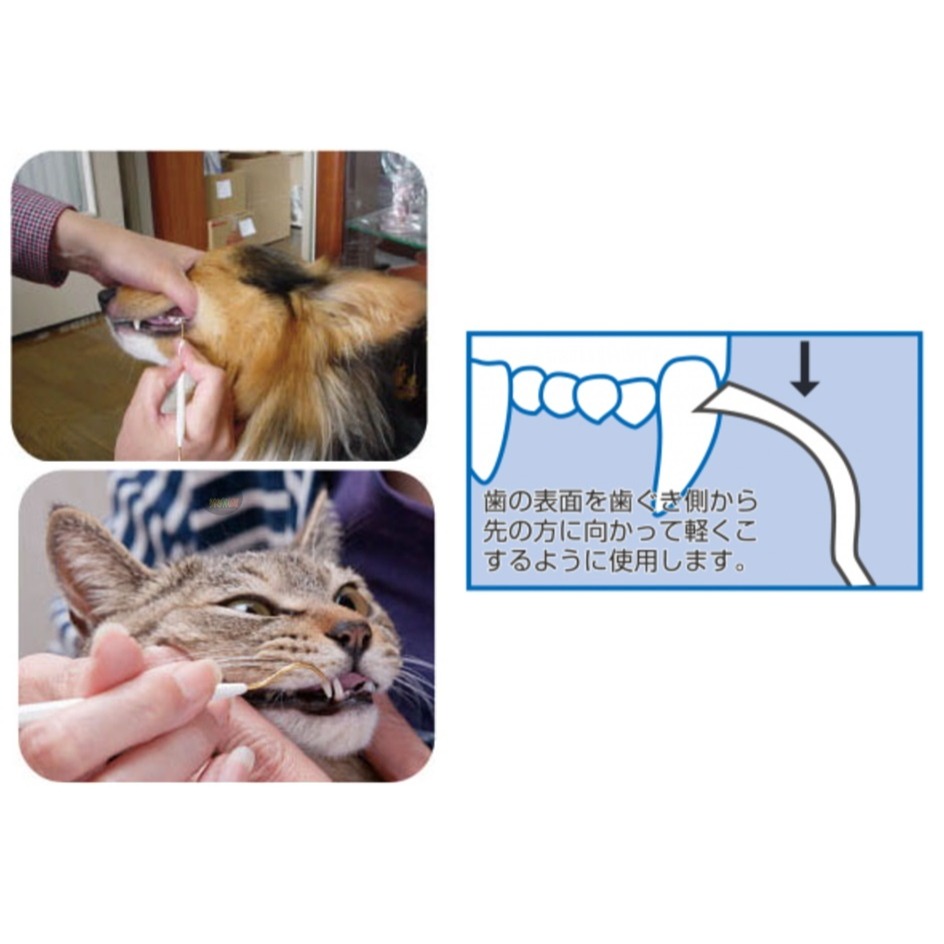 日本 Mind up 寵物雙頭牙垢棒 牙結石清除棒 犬用 貓用 雙頭 mindup 狗 貓-細節圖2