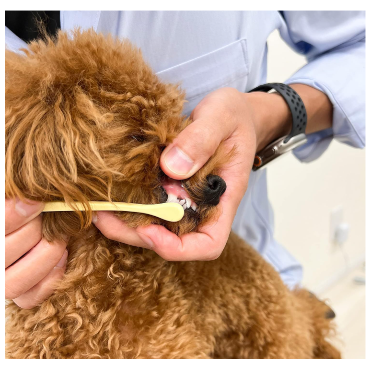 日本 Mind up 犬貓 寵物液態膏狀牙膏 犬用牙膏 貓咪牙膏 30ml 60g 牛奶味 犬貓牙膏 口腔噴霧-細節圖3