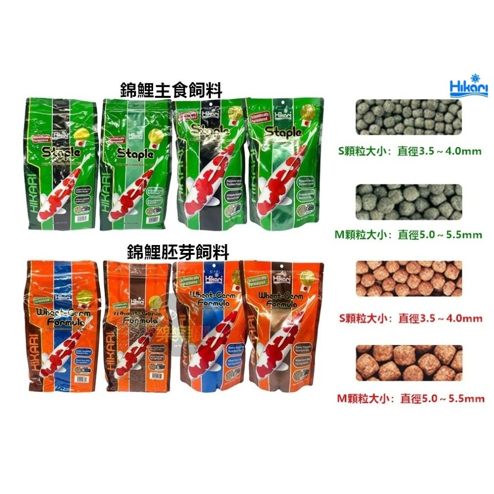 日本 Hikari 高夠力 錦鯉飼料 胚芽 主食 錦鯉金 螺旋藻 錦鯉蠶蛹飼料 鯉魚飼料 龍鯉 (浮水性)-細節圖2