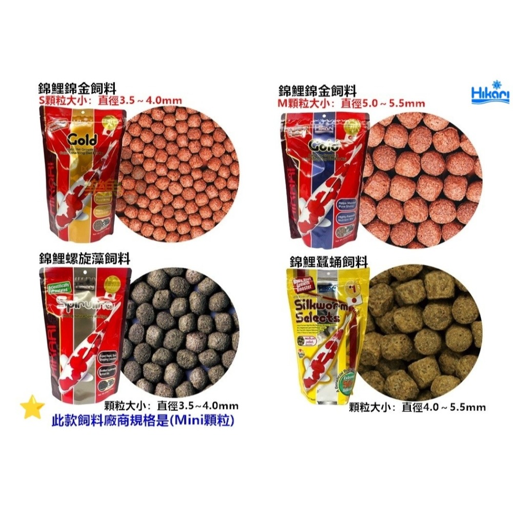 日本 Hikari 高夠力 錦鯉飼料 胚芽 主食 錦鯉金 螺旋藻 錦鯉蠶蛹飼料 鯉魚飼料 龍鯉 (浮水性)-細節圖3