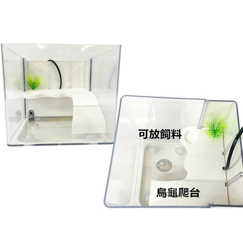 小螃蟹 Crab aqua 懶人烏龜缸 懶人缸 背濾缸 壓克力魚缸 (黑色、白色) 烏龜爬台 水龜 澤龜 魚缸-細節圖4