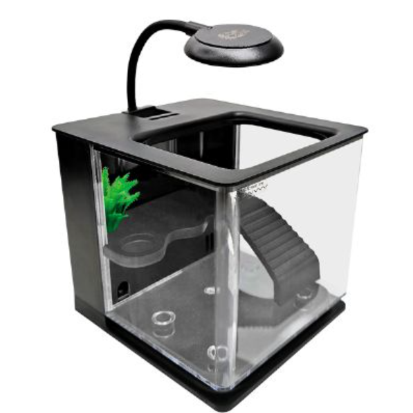 懶人烏龜缸 (黑)