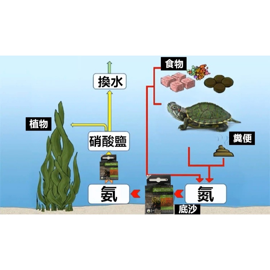 法國 PRODIBIO 普洛迪 Aqua-Turtle Nano 烏龜底床活性組 水龜 澤龜 除臭 淨化水質-細節圖4