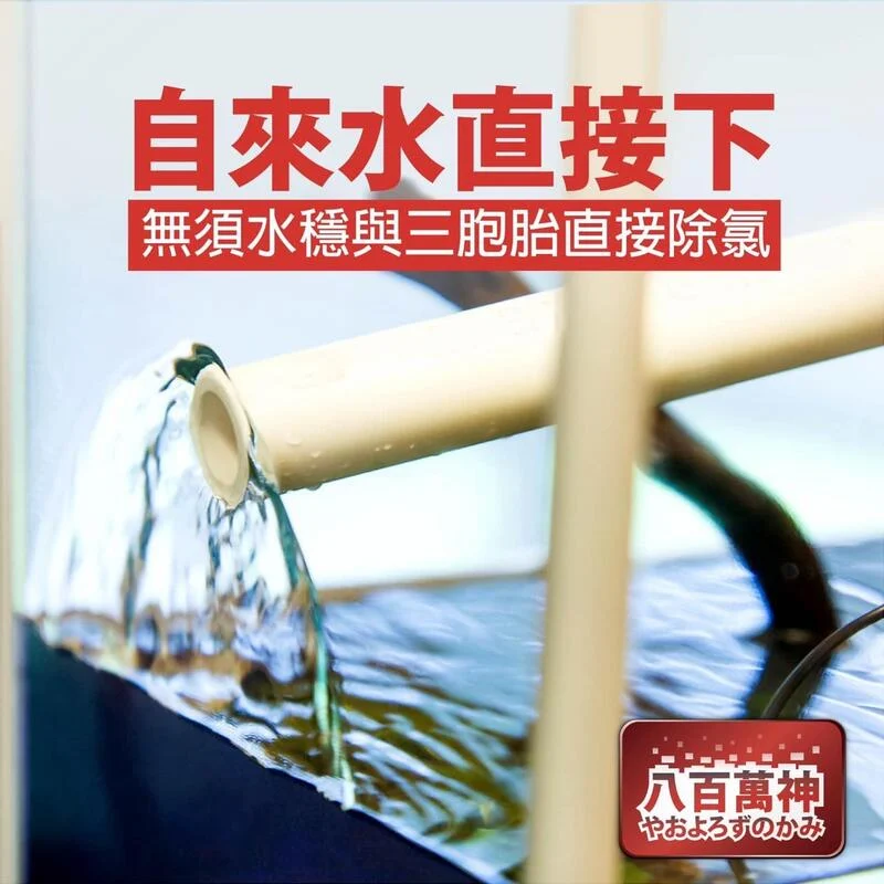 八百萬神 微型八重除氯器 除氯器 除氯淨水器 水族專用 可替換氯芯 除氯 觀賞魚換水 淨水器 濾芯-細節圖2