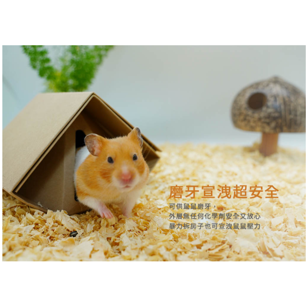 愛思沛 Acepet 倉鼠折折鼠屋 倉鼠窩 倉鼠紙屋 (1入)-細節圖4