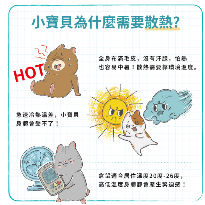 752-NC 愛思沛 Acepet 勁涼冰屋 小動物散熱窩 倉鼠 黃金鼠 陶瓷窩 冬天夏天兩用 底可拆 好清洗-細節圖2
