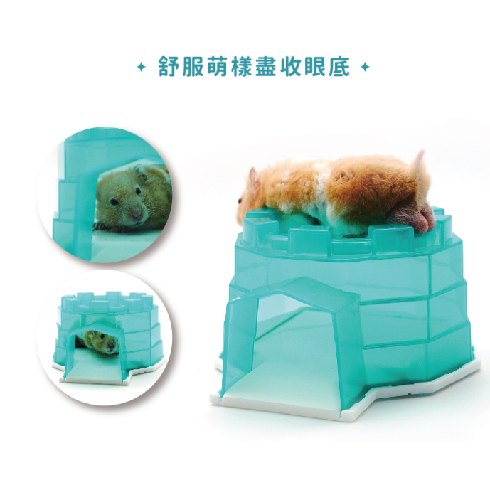 752-NC 愛思沛 Acepet 勁涼冰屋 小動物散熱窩 倉鼠 黃金鼠 陶瓷窩 冬天夏天兩用 底可拆 好清洗-細節圖5