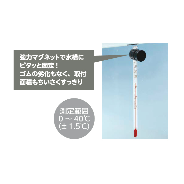 日本 Suisaku 水作  磁吸式溫度計 M (9cm)  L (12.2c )透明玻璃溫度計 精準 水族溫度計-細節圖2
