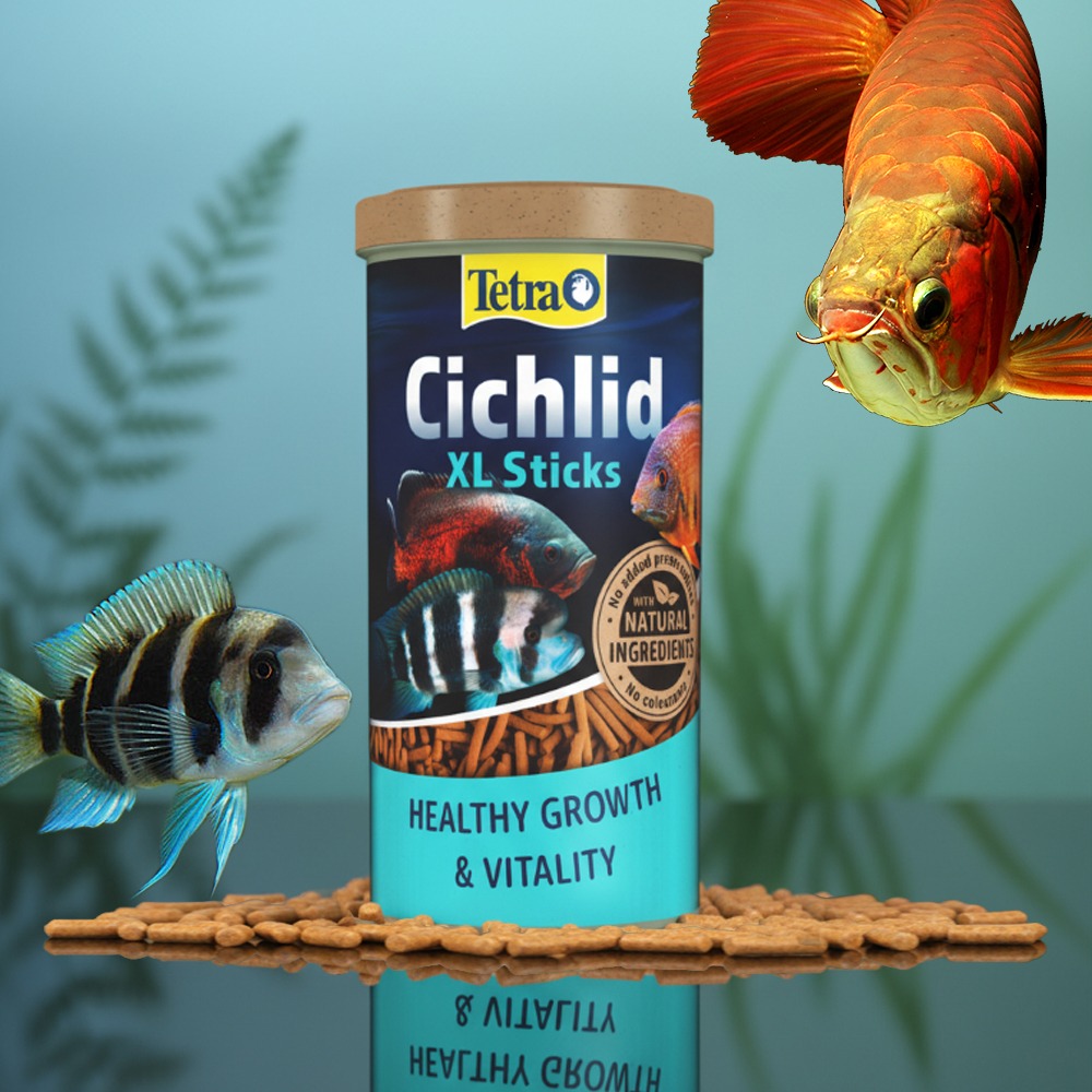 T350A TETRA 德彩 大型肉食性飼料 XL 條狀 1L 慈鯛 龍魚 (浮料性) 320g-細節圖2