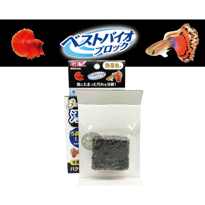 五味 GEX  納豆菌 淨水磚 (烏龜用、熱帶魚用) 淨水環 納豆 分解髒汙 淨水磚 納豆菌磚 (1盒1入)-細節圖3