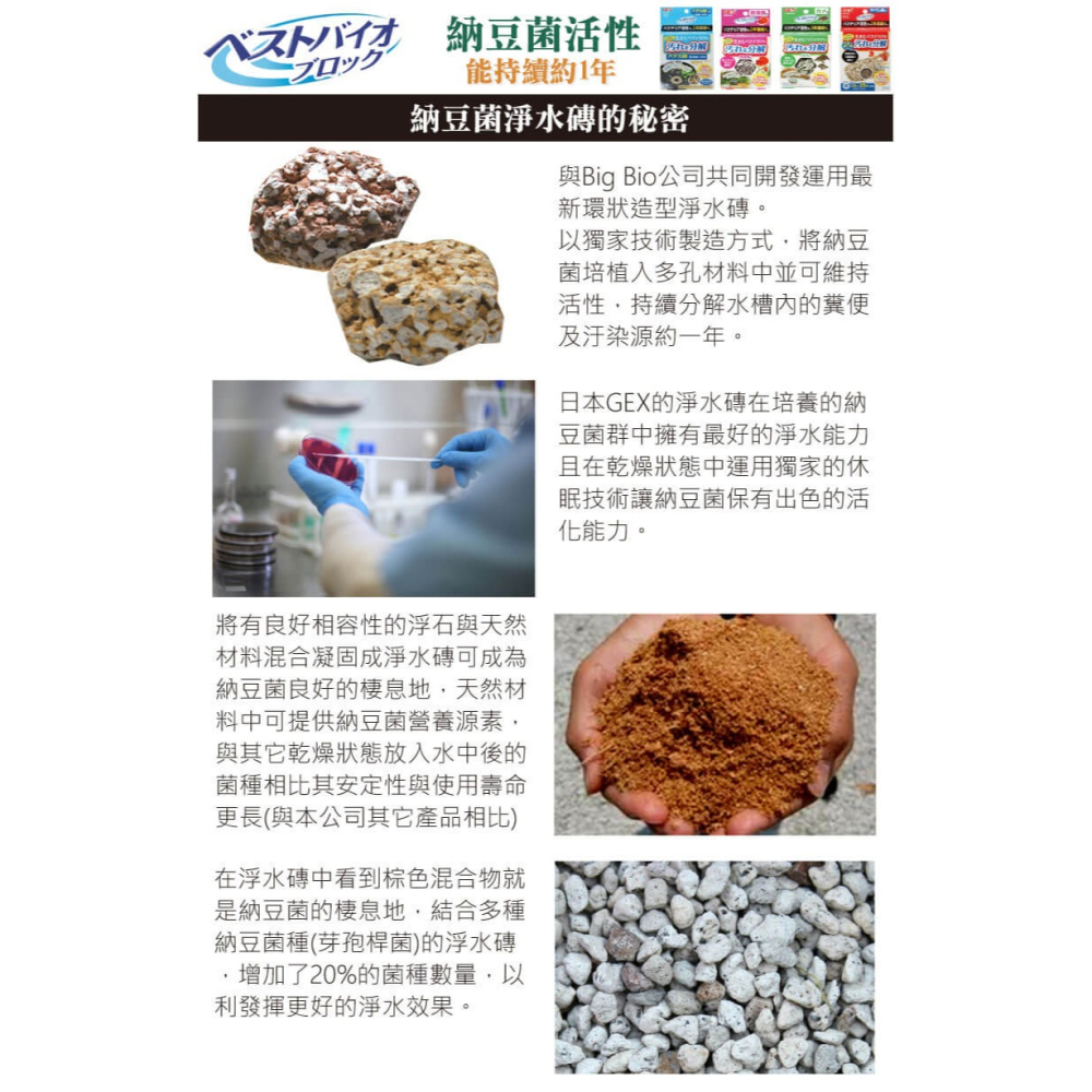 五味 GEX  納豆菌 淨水磚 (烏龜用、熱帶魚用) 淨水環 納豆 分解髒汙 淨水磚 納豆菌磚 (1盒1入)-細節圖4