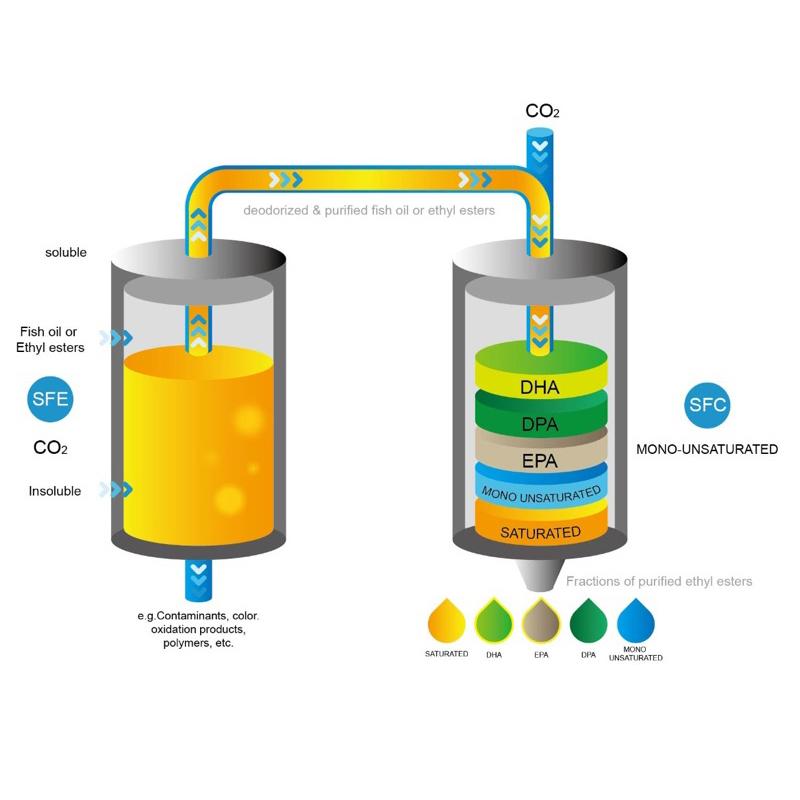 KD Pharma fish oil 德國頂級魚油 人與寵物家貓咪可食用 可防掉毛 60粒/量販袋裝-細節圖3