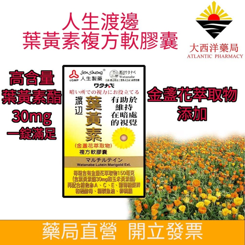 人生製藥 渡邊 葉黃素 (金盞花萃取物)複方軟膠囊(60粒/瓶) 葉黃素酯30mg 一錠補足每日所需 高用眼族適用-細節圖2
