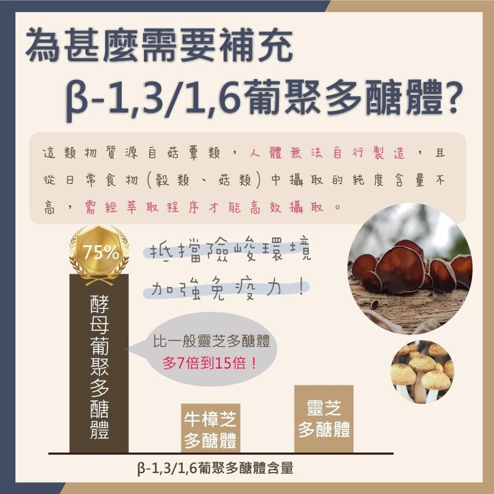【金博氏】保衛菌 益生菌30包 金博氏 保衛菌 30包*2g 益生菌 耐酸益生菌 乳酸菌 孕婦可吃益生菌 嬰幼兒可吃-細節圖6