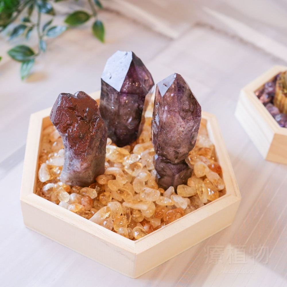 【水晶碎石】巴西黃水晶 五行開運招財 純天然 無優化 無燒 無染色 天然黃水晶 天然水晶碎石 消磁淨化脈輪太陽輪-細節圖5