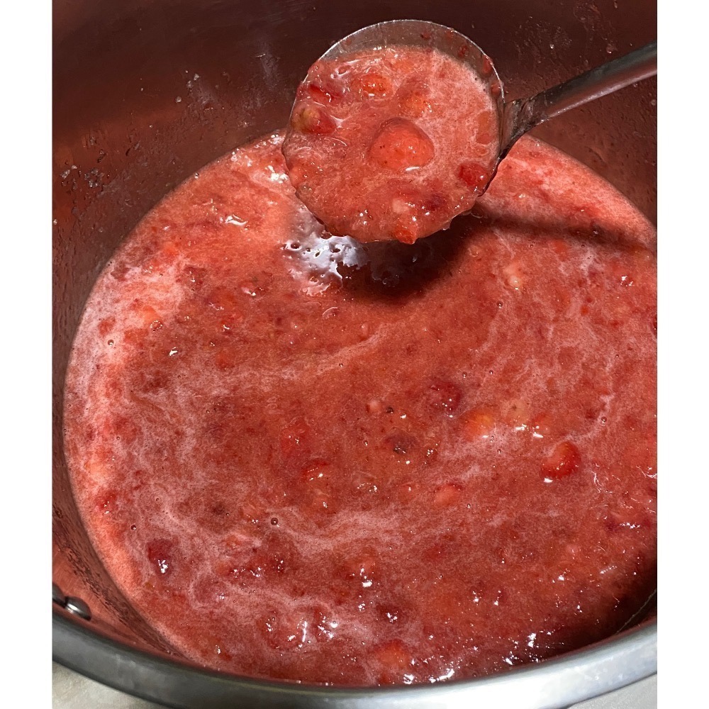 紅姬草莓雪耳飲六入禮袋免運優惠組-細節圖3