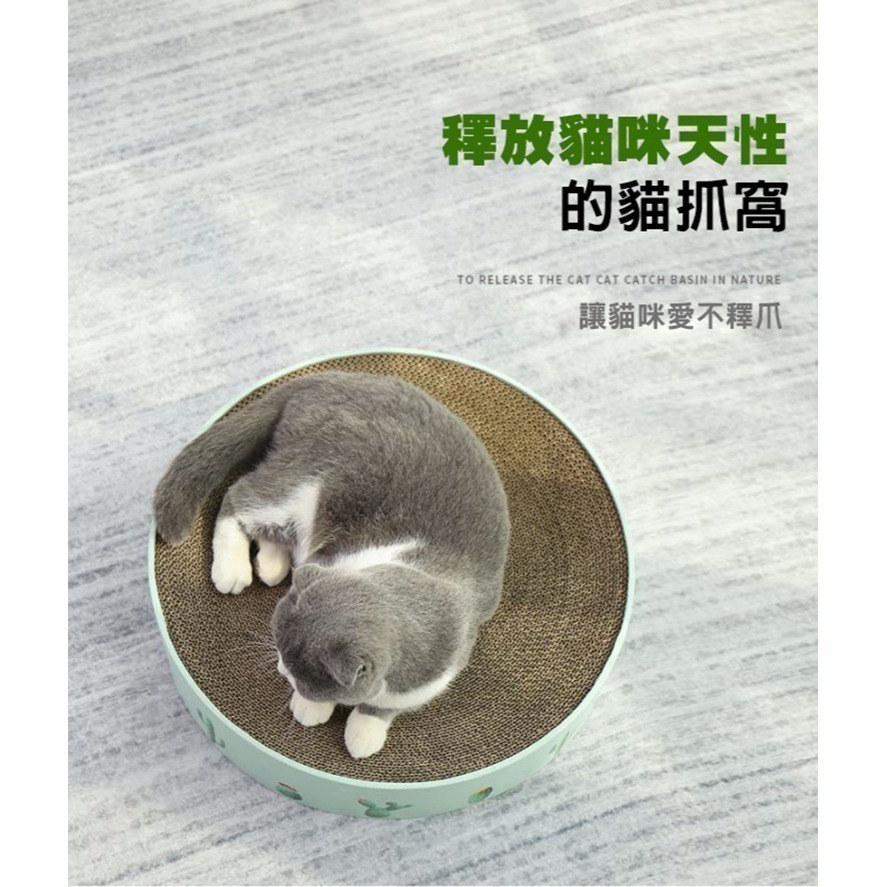 仙人掌貓抓板 超大圓餅貓抓盆 貓抓碗 貓抓窩 貓碗 貓抓屋 貓窩 睡窩 貓抓盆 貓抓床-細節圖2