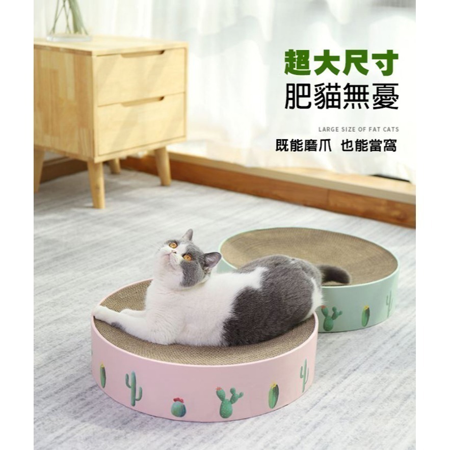 仙人掌貓抓板 超大圓餅貓抓盆 貓抓碗 貓抓窩 貓碗 貓抓屋 貓窩 睡窩 貓抓盆 貓抓床-細節圖4