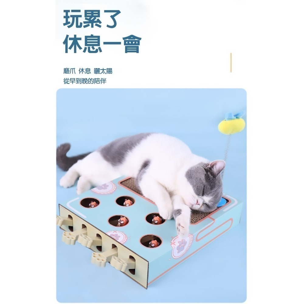 打地鼠三合一  貓抓板 逗貓棒 寵物互動玩具 逗貓玩具 寵物配件-細節圖5