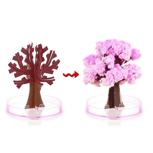 台灣現貨 聖誕樹 神奇紙樹開花 魔法櫻花粉紅櫻花版 七彩聖誕樹  日本賞櫻 辦公室賞櫻 療癒系小物 生日禮物-細節圖2