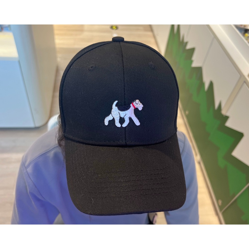 Wirefoxterrier剛毛獵狐梗棒球帽-走路-細節圖2