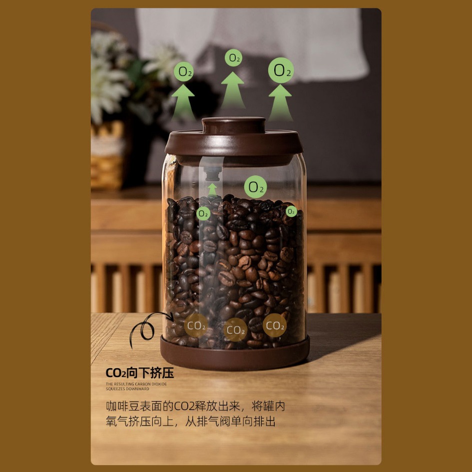 【巔品購物】✅發票【單向排氣密封罐】高硼矽玻璃咖啡罐 玻璃罐 高硼矽玻璃 咖啡罐 保鮮罐 防潮罐 密封罐 真空罐-細節圖5