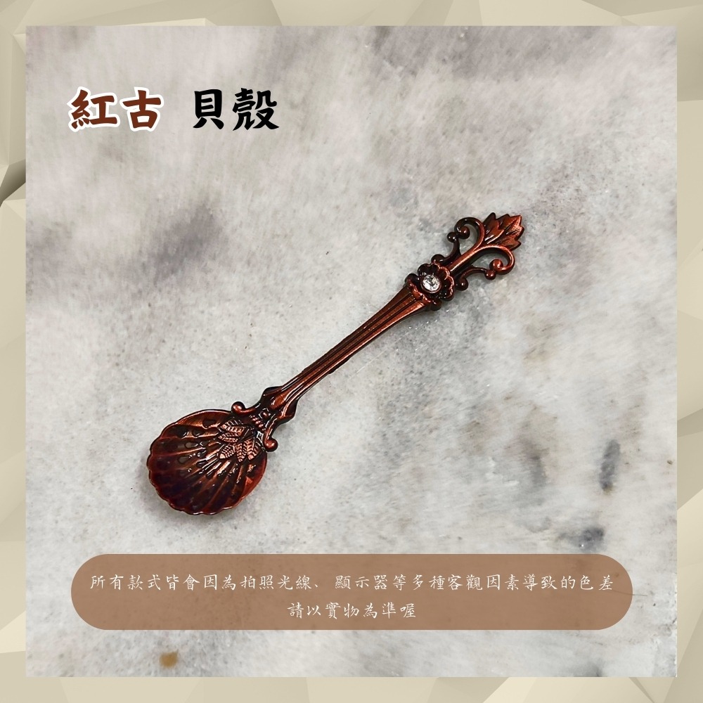 貝殼-紅古湯匙