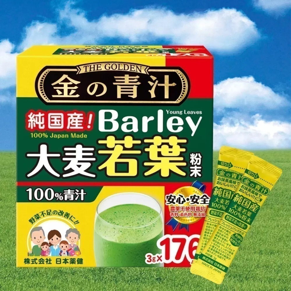 【現貨】特價中~日本 大麥若葉粉末 青汁 3公克 X 176包 Costco 好市多 大麥若葉 膳食纖維 纖維-細節圖4