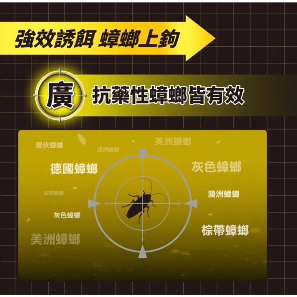 《茉莉餐具》🔥滿額免運🔥COMBAT 12入 威滅滅蟑隊 5重連鎖 超強誘食（啤酒酵母配方-細節圖3