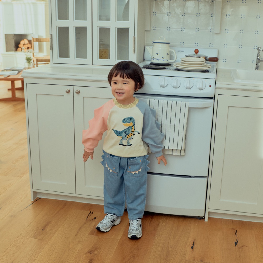 1stblue 春季恐龍圖案上衣-細節圖2