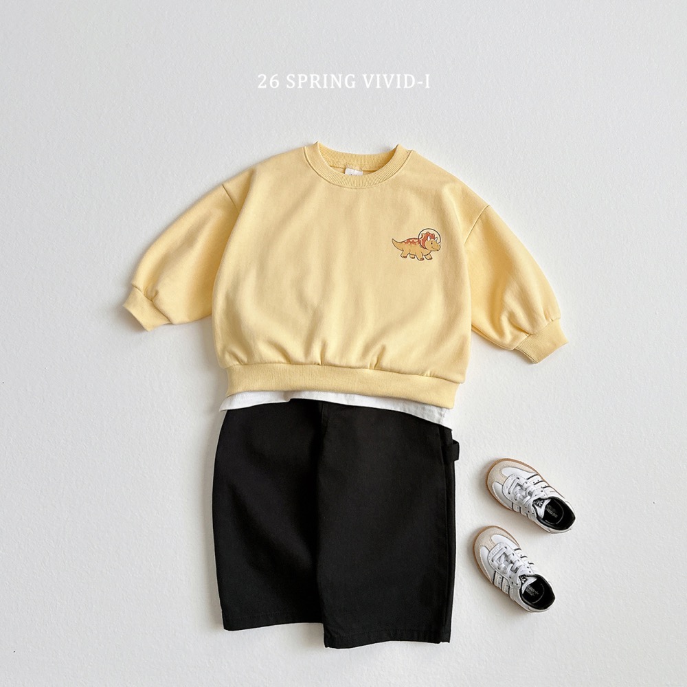 VIVID 春季前後恐龍圖案大學T-細節圖5